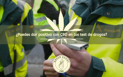 ¿PUEDES DAR POSITIVO POR CBD EN LOS TEST DE DROGAS?