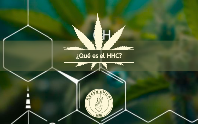 ¿QUÉ ES EL HHC?