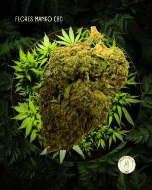 FLORES MANGO CBD