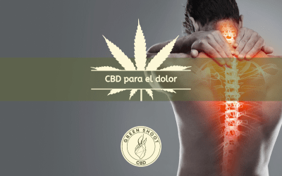 CBD PARA EL DOLOR