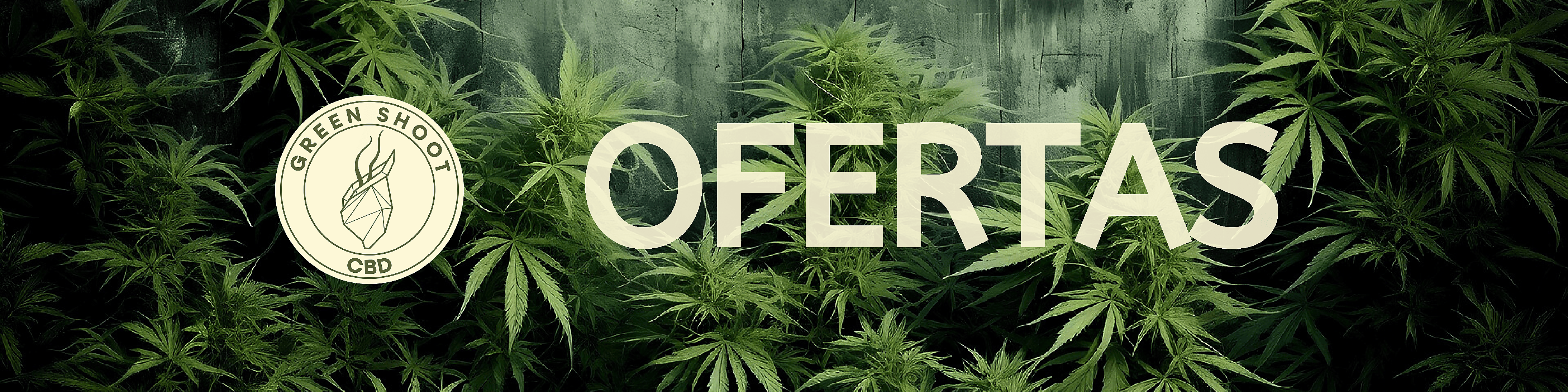 slide OFERTAS GREEN SHOOT CBD slide OFERTAS GREEN SHOOT CBD