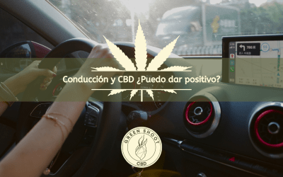 CONDUCCIÓN Y CBD: ¿PUEDO DAR POSITIVO?