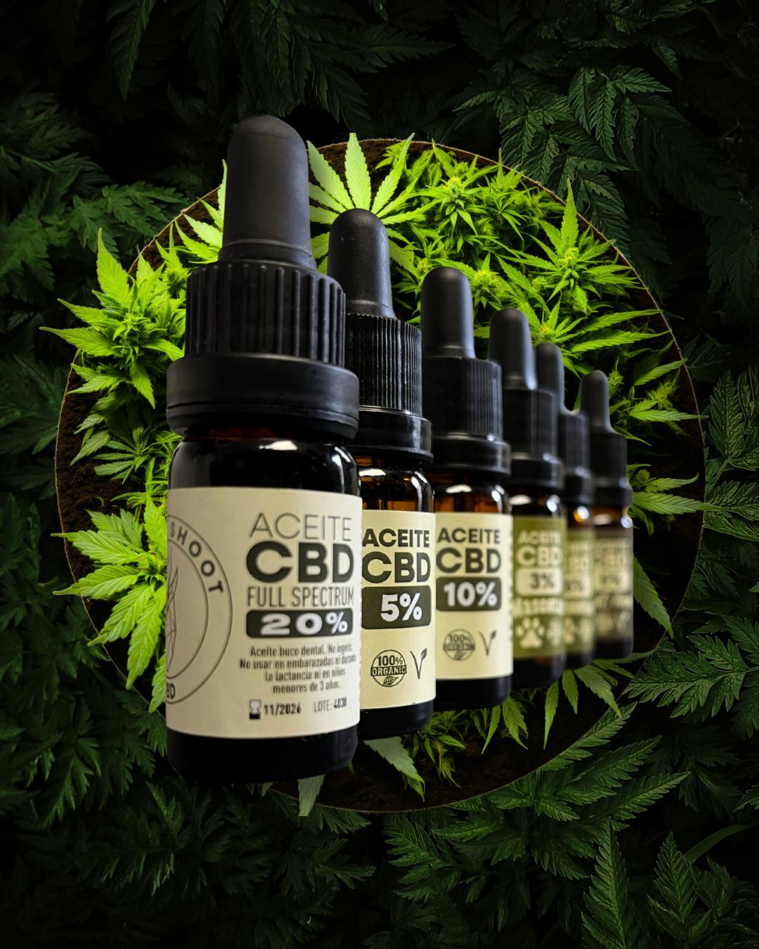 ACEITES GREEN SHOOT CBD ACEITES GREEN SHOOT CBD