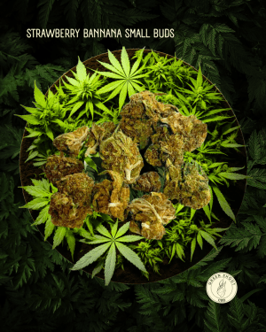 STRAWBERRY BANANA SMALL BUDS