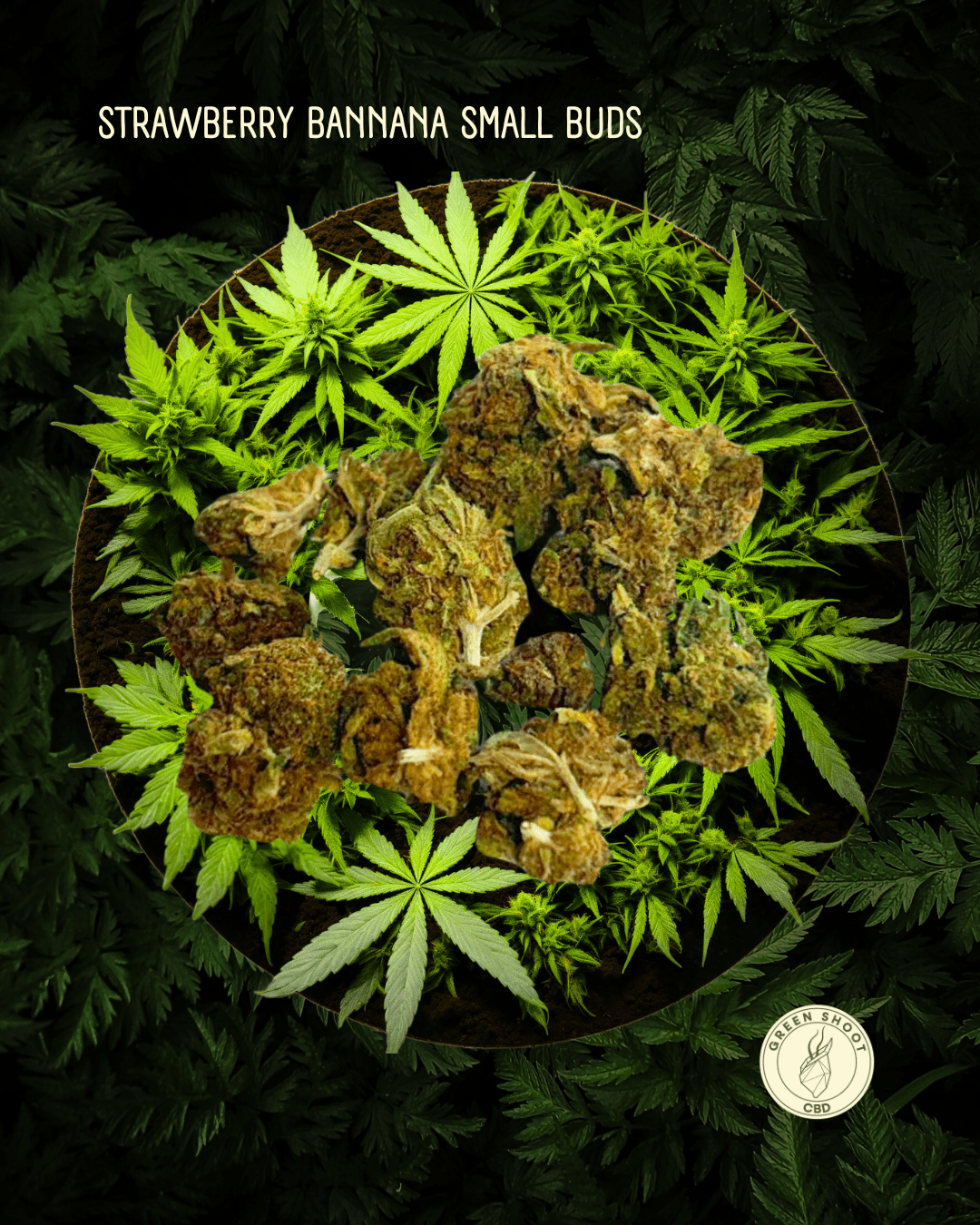 STRAWBERRY BANANA SMALL BUDS