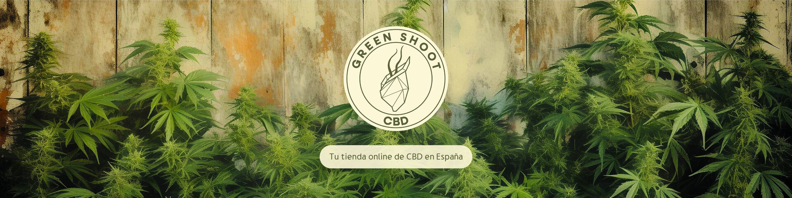 kuellar slider web (1400 x 350 px) (2)