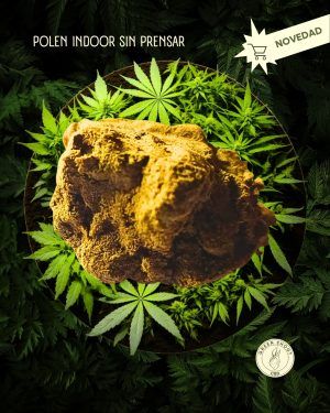 POLEN INDOOR CBD SIN PRENSAR