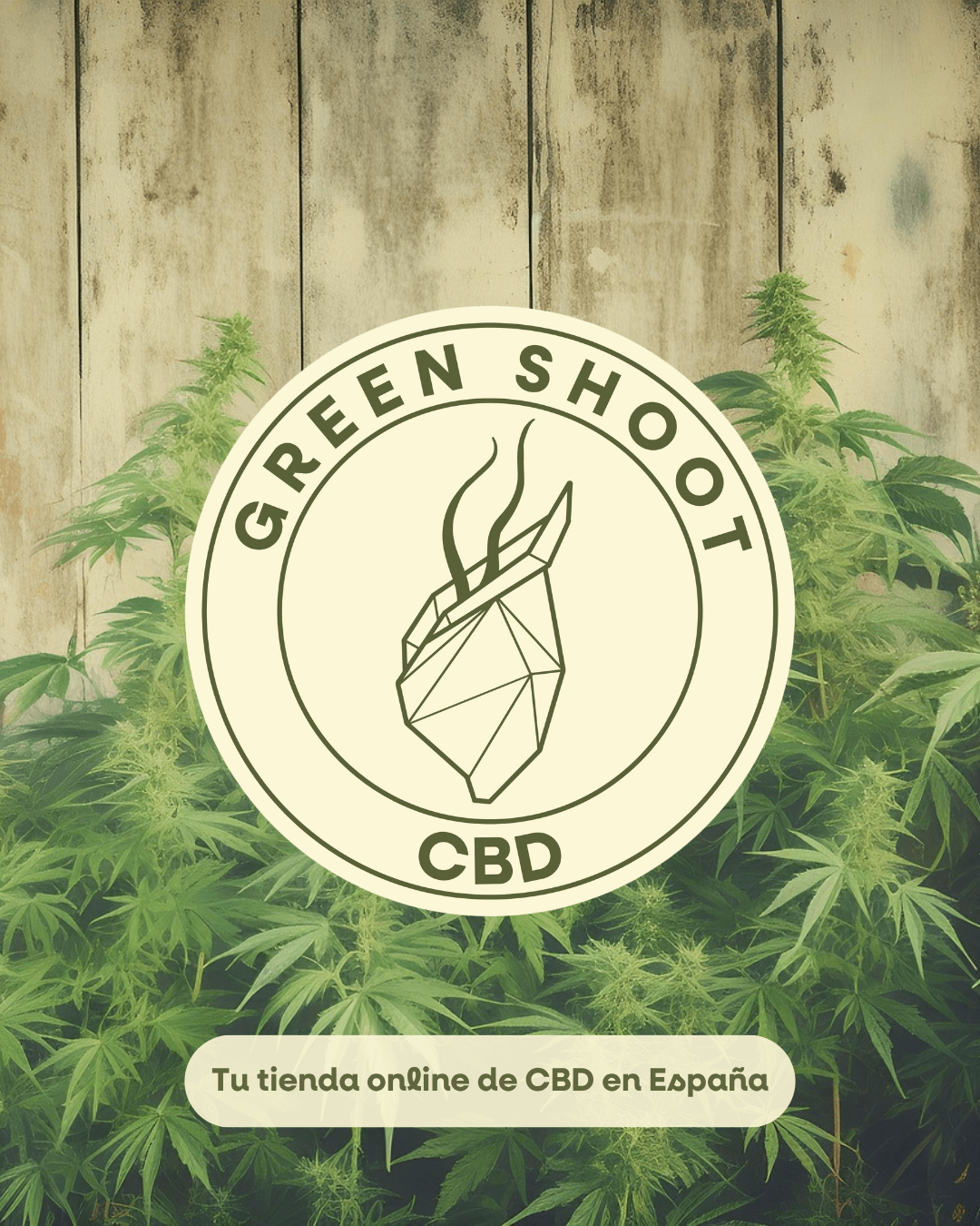 GREEN SHOOT CBD HOME