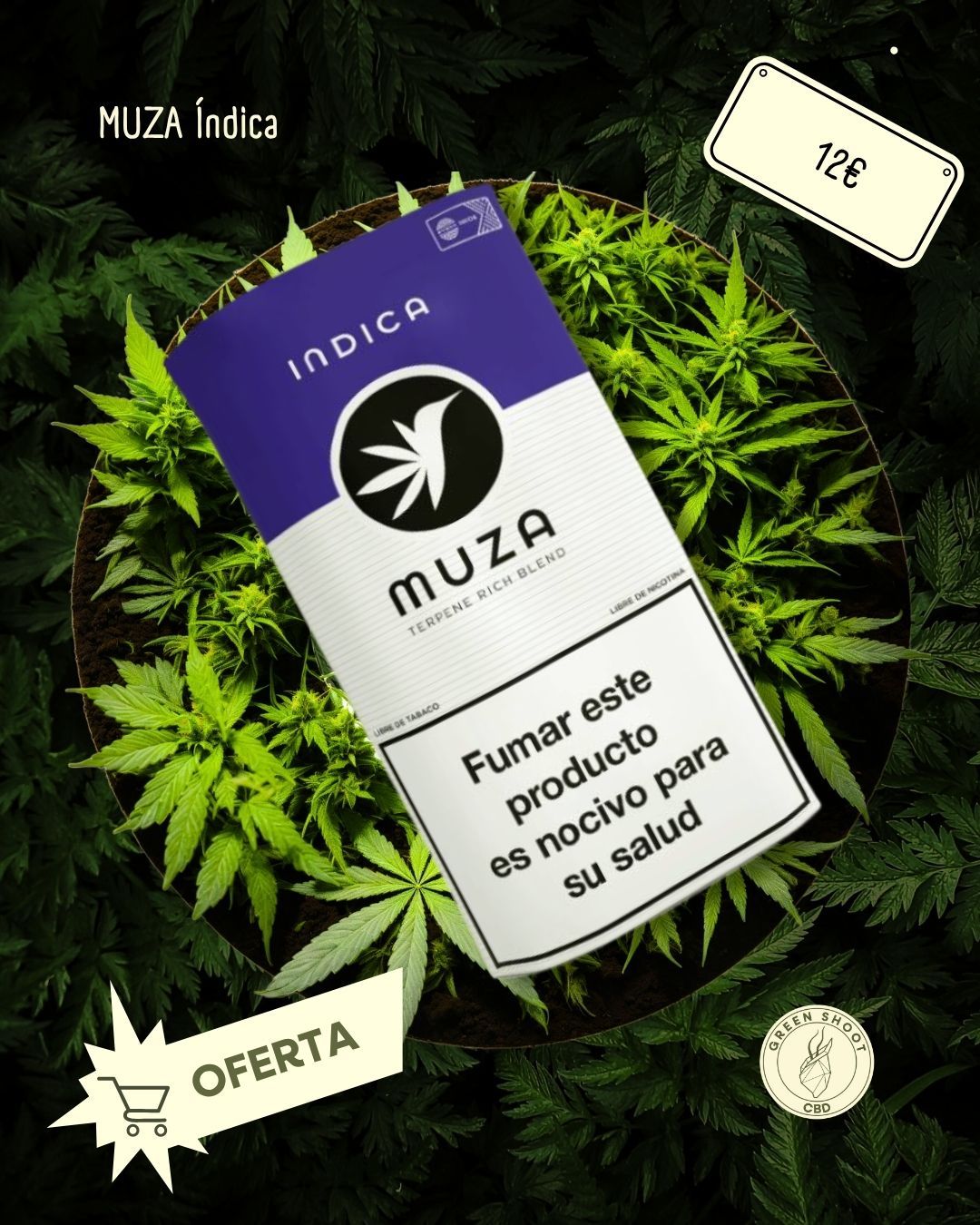 MUZA ÍNDICA 30 G